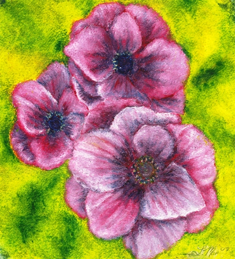 return to Drawing